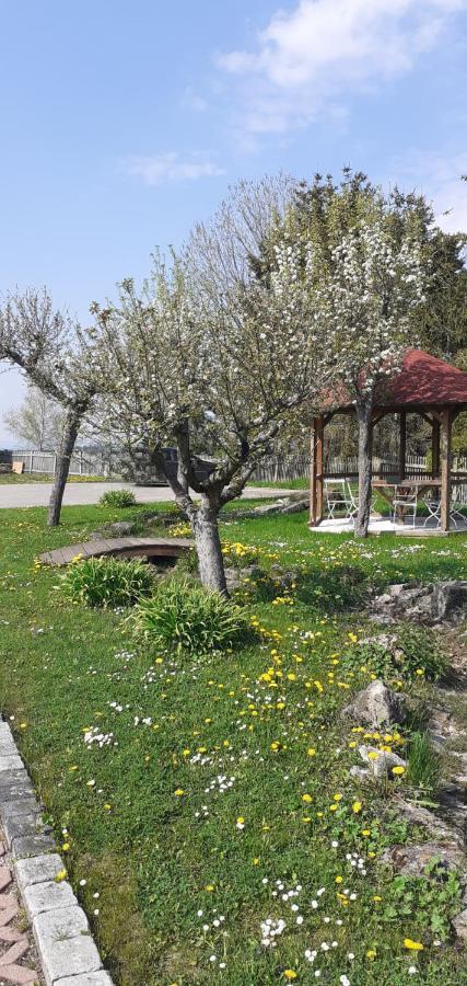 Horselberg-Hainich B&B Talstation מראה חיצוני תמונה